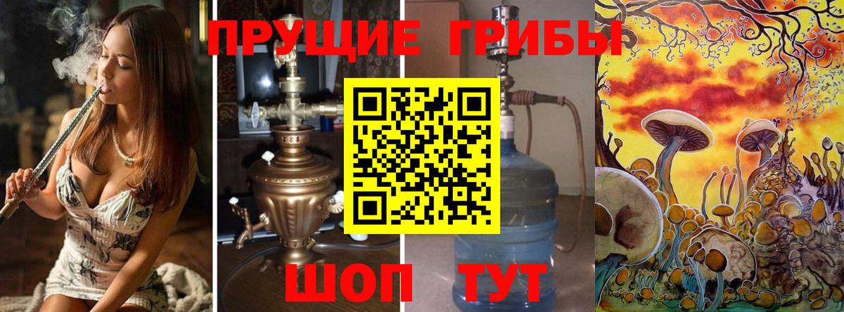 Торжок  дарнет шоп  Вход с VPN  Псилоцибиновые грибы GOLDEN TEACHER 