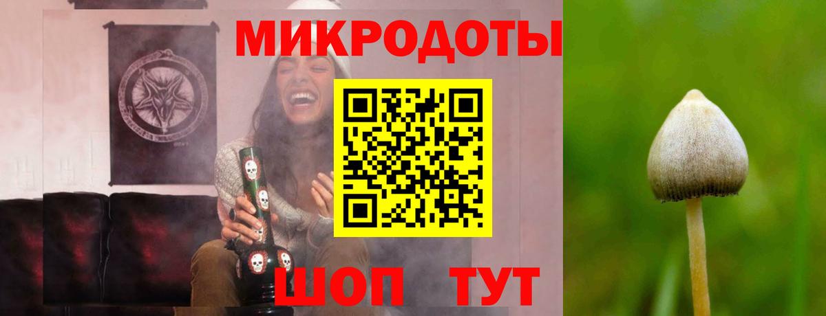 Псилоцибиновые грибы ЛСД Торжок
